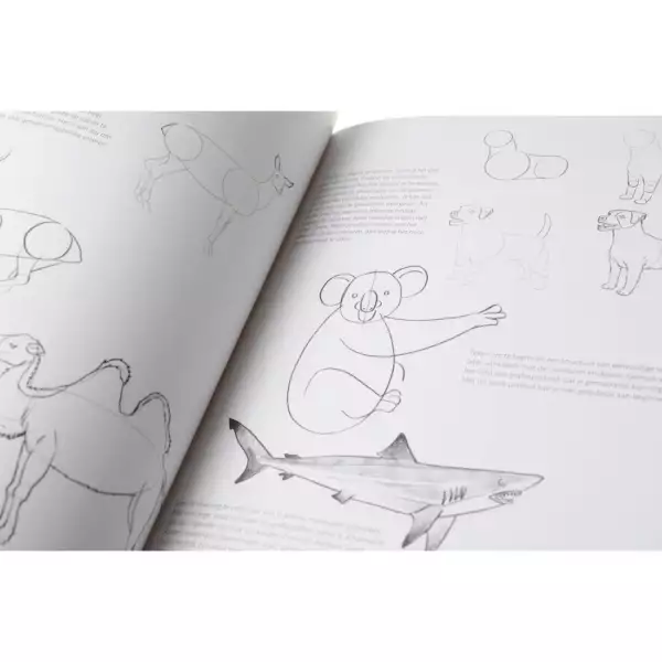 Stap voor stap dieren leren tekenen
