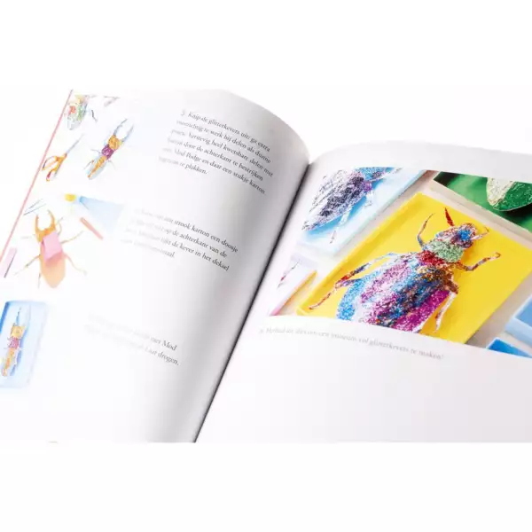 Het kook- klieder- en knutselboek voor kinderen
