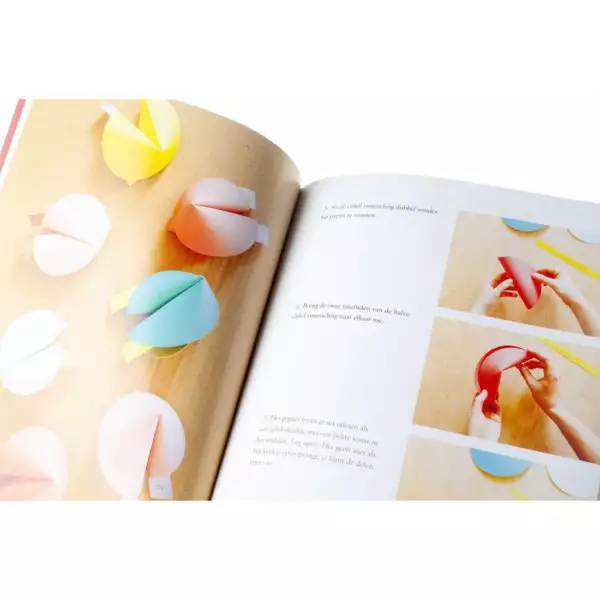 Het kook- klieder- en knutselboek voor kinderen