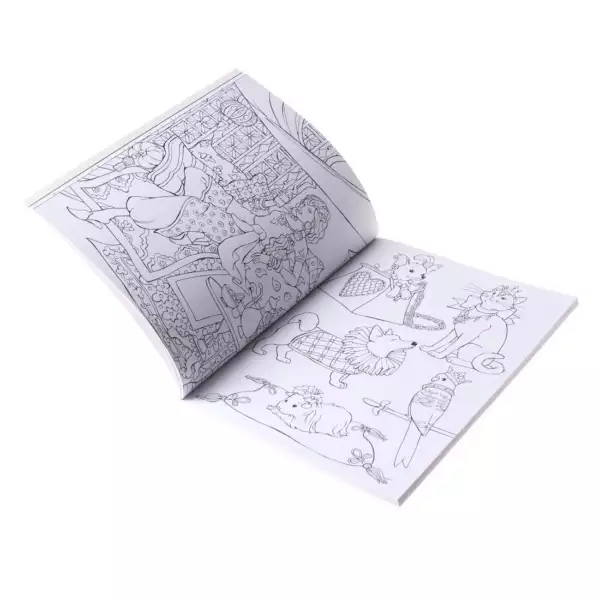 Het mooie prinsessen kleurboek