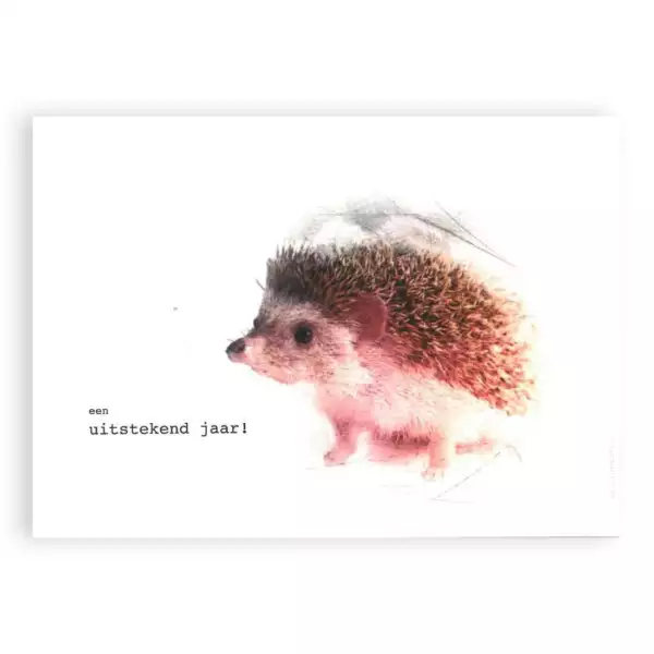 Postkaart - Een uitstekend jaar!